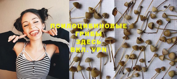 молекула духа Михайловка